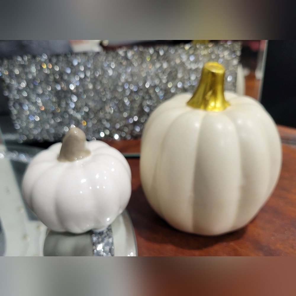 Elegant Off-White w/Gold Stem & White w/Gray Stem Ceramic Mini Pumpkin Set
